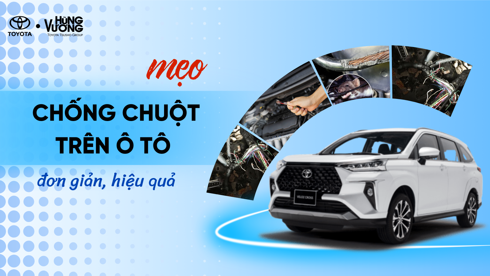 MẸO CHỐNG CHUỘT TRÊN Ô TÔ ĐƠN GIẢN, HIỆU QUẢ